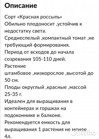 Балконное чудо рассада