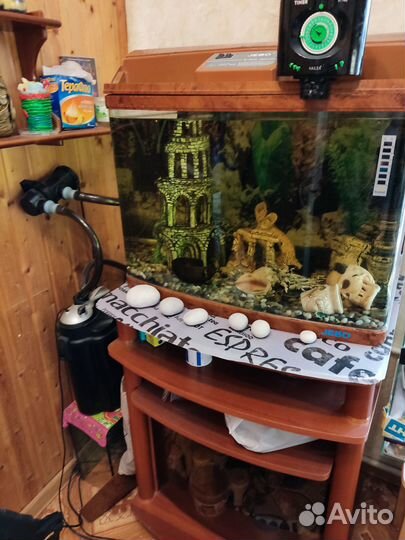 Аквариум с рыбками