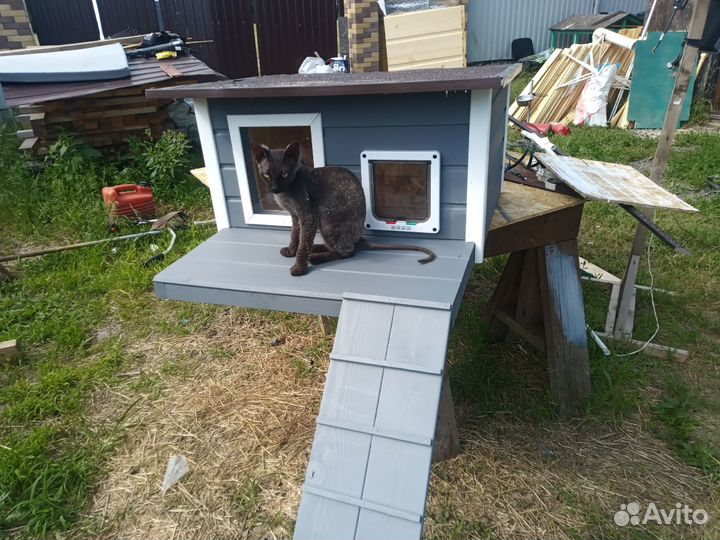 Домик для кошки уличный. Котодом