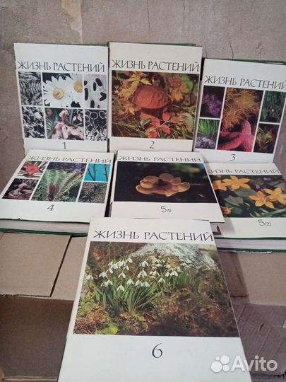 Жизнь растений