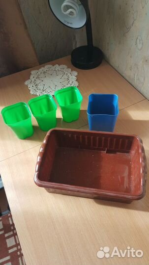 Ящик для рассады