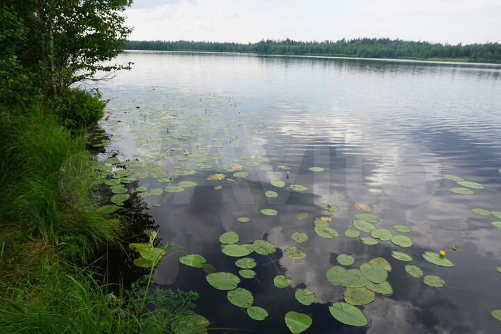 Участок 1,5 га (ИЖС)