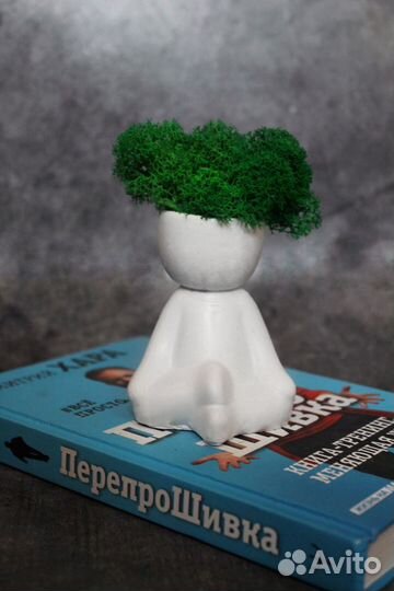 Человечки со мхом, тарелка для благовония, пантион