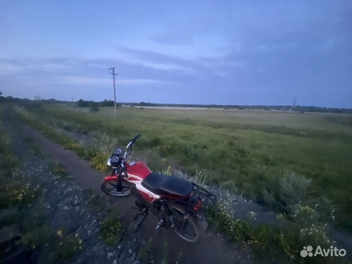 Alpha RX