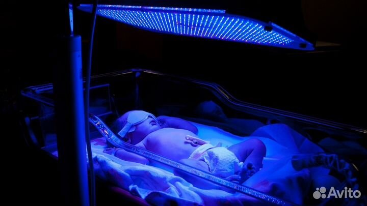 Прокат лампы для лечения желтушки новорождённых