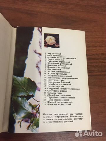 Набор открыток. Лекарственные растения. М, 1980 г