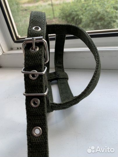 Ошейник и шлейка для собак
