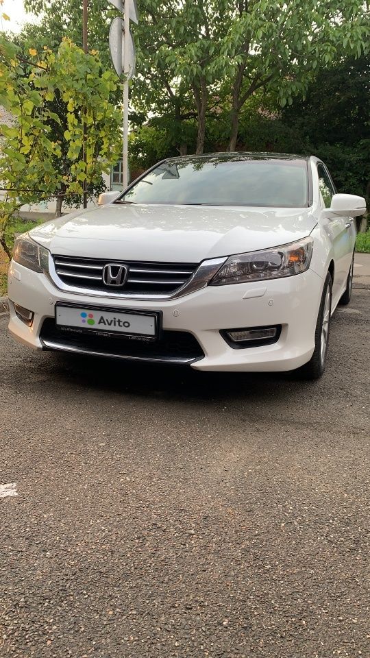 Honda Accord: фото владельца