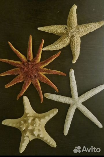 Морские сувениры