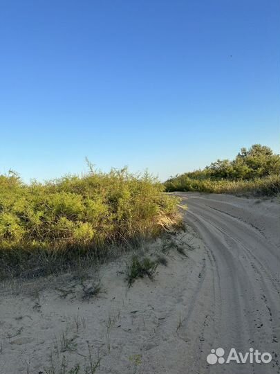 Прокат квадроциклов