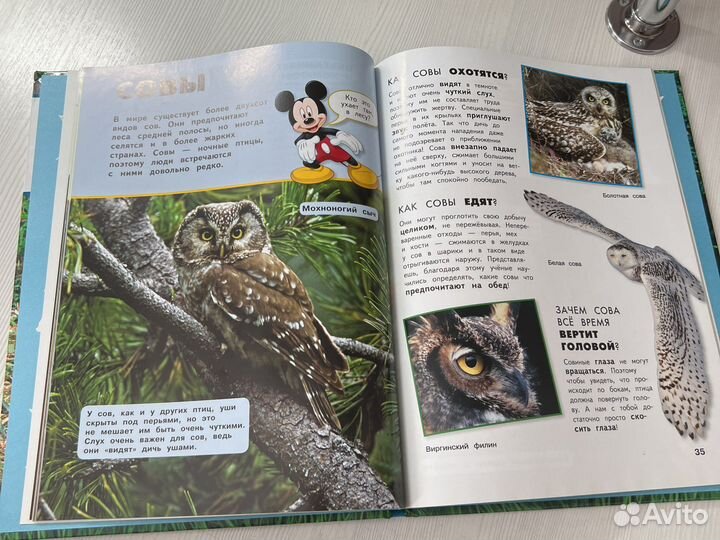 Детские энциклопедии