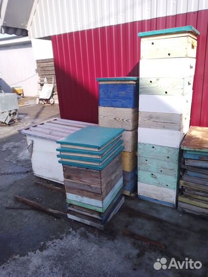 Пчелиные ульи