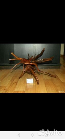 Паучий корень