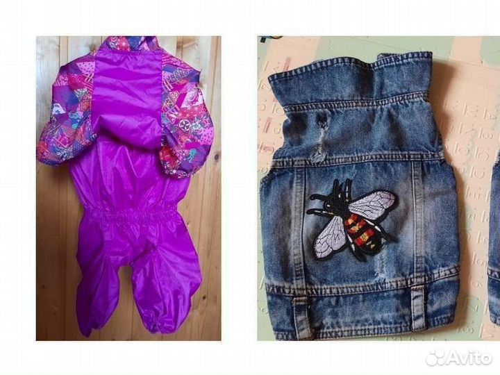 Одежда для собак