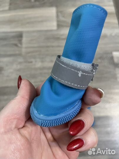 Одежда и обувь для собак