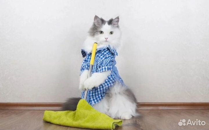 Клининг, уборка квартир