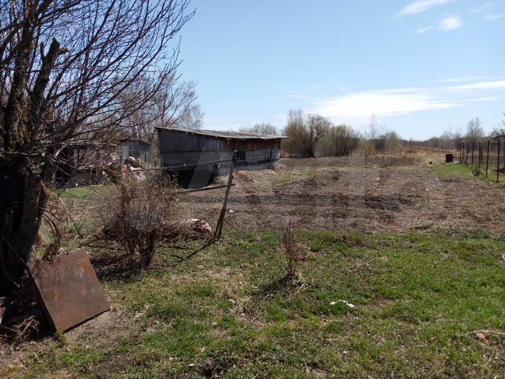 Дом 49,3 м² на участке 25 сот.