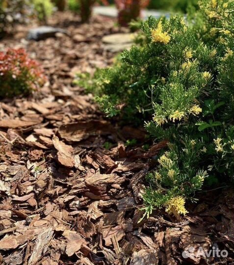 Кора (мульча) сибирской лиственницы