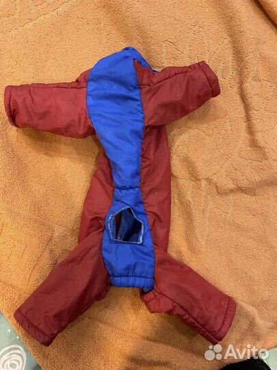 Одежда для собак мелких пород