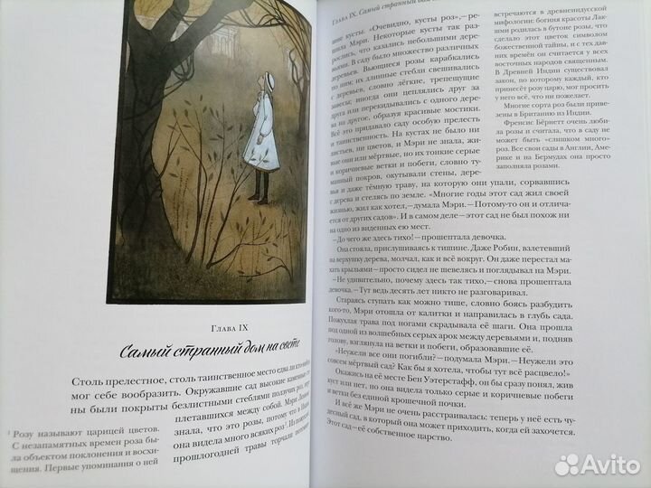 Том Сойер. Таинственный сад