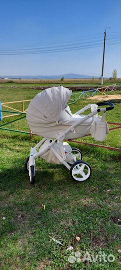 Коляска Adamex Barletta 3 в 1