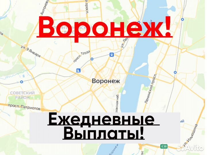 Работа с ежедневной оплатой воронеж мужчины