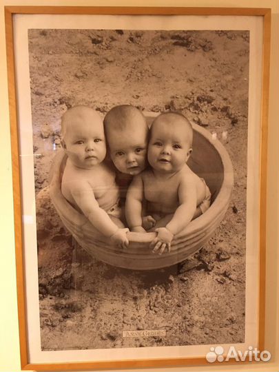 Художественая печать Энн Геддес