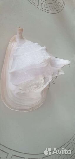 Аксессуары для аквариума