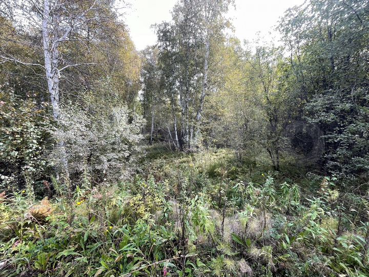 Участок 15 сот. (ИЖС)