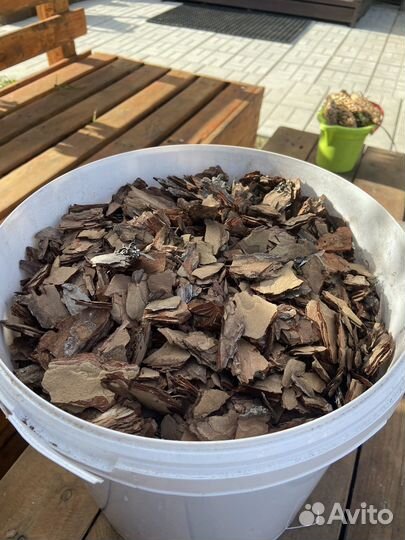 Кора сосны мульча мох для орхидей