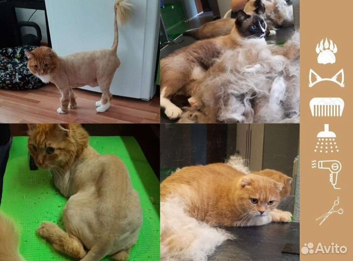 Стрижка собак и кошек, грумер, уралмаш