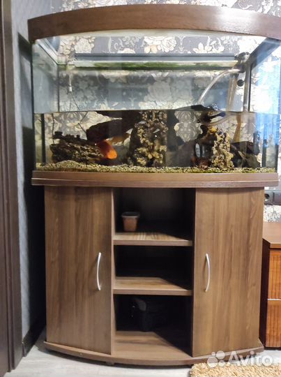 Аквариум с тумбой Панорама 240