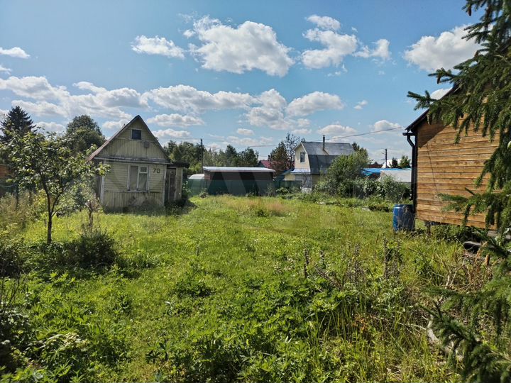 Участок 6 сот. (СНТ, ДНП)