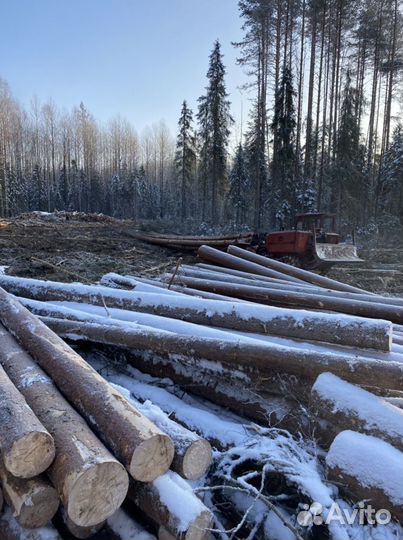 Услуги лесозаготовки