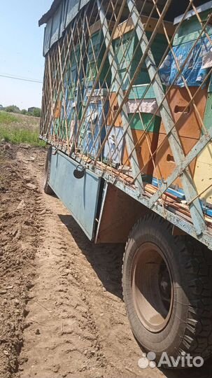 Пасики пчелы