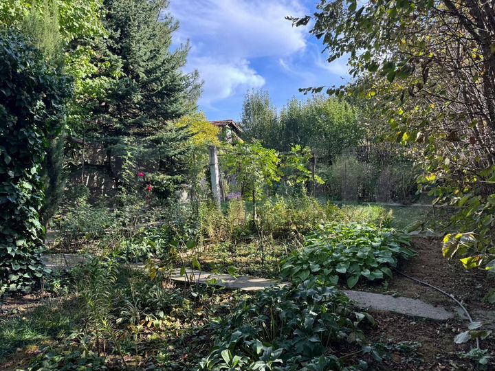 Дом 50 м² на участке 6 сот.