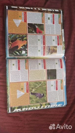 Энциклопедия животных