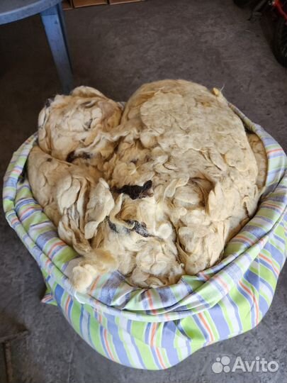 Шерсть овечья