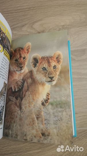 Отчего и почему занимательная энциклопедия