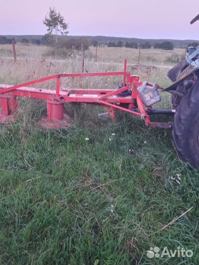 Корова дойная