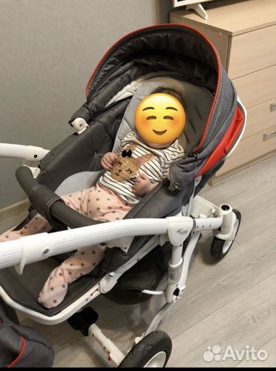 Коляска 2 в 1 adamex