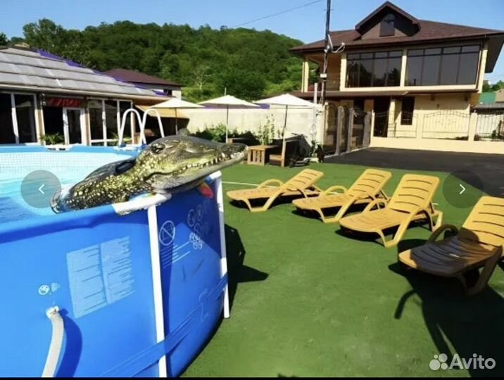 Гостевой дом с бассейном Вардане Лоо Сочи