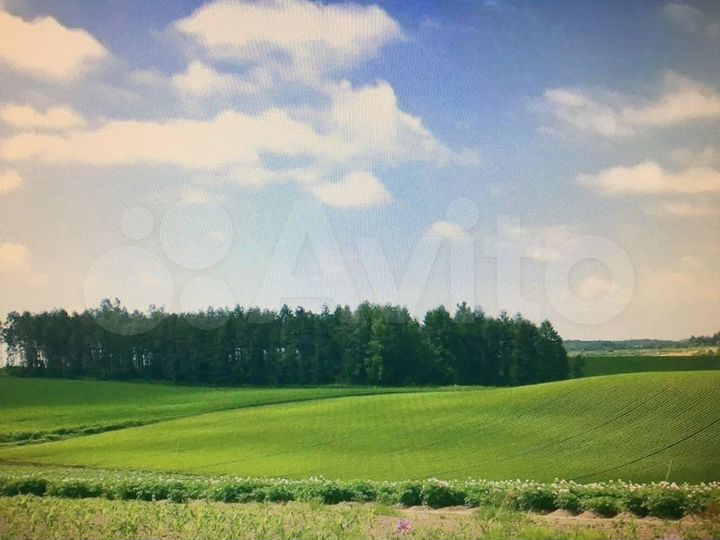 Участок 5,1 га (СНТ, ДНП)