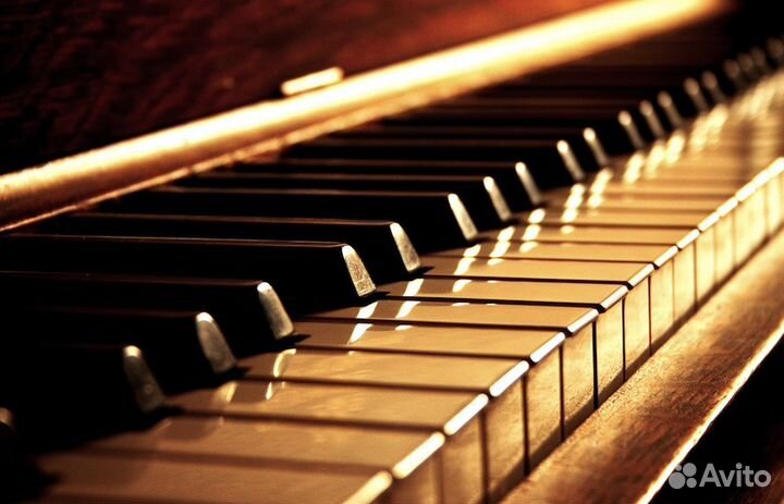 Профессиональный набор нот на компьютере