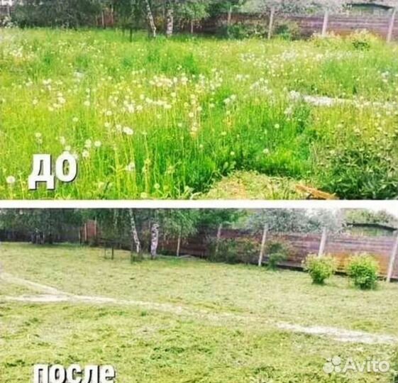 Покос травы триммером