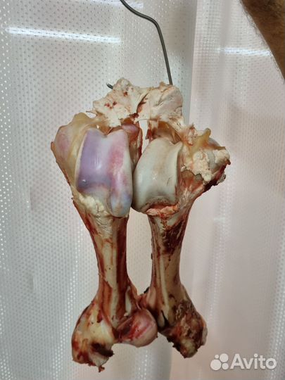 Кость говяжья мозговая