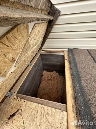 Собачья будка