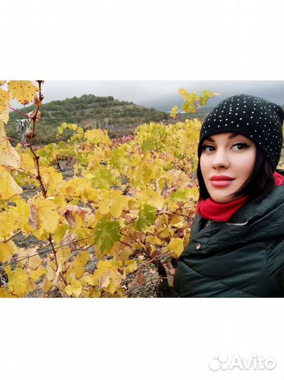 Напишу картину на заказ (живопись, абстракция)