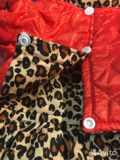 Одежда для маленьких собак