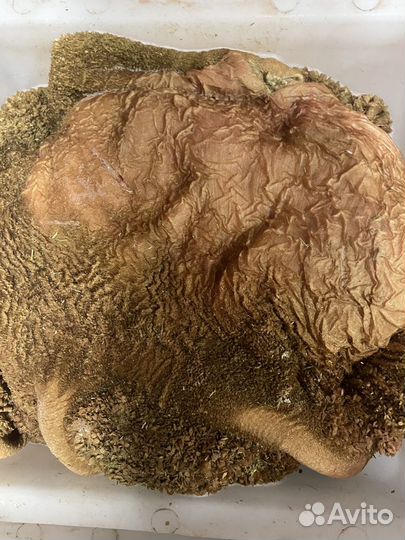 Рубец говяжий